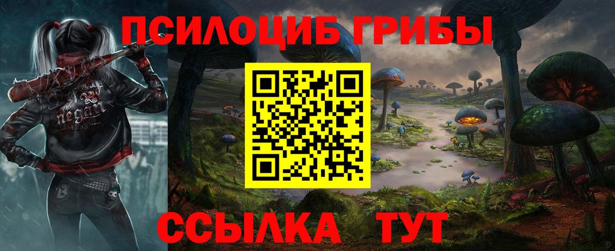 Псилоцибиновые грибы GOLDEN TEACHER Острогожск